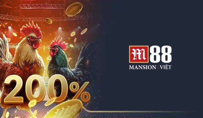 M88 – Nền tảng cược đá gà trực tuyến hàng đầu